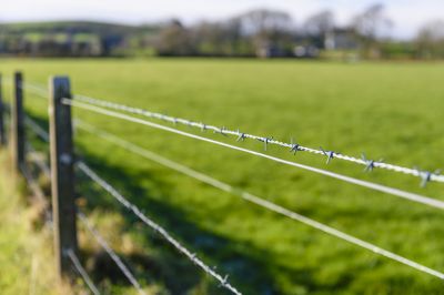 Barbed Wire Fence Replacement